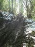IMG-20160430-WA0005.jpg