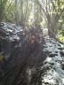 IMG-20160430-WA0006.jpg