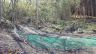 IMG-20170407-WA0009.jpg